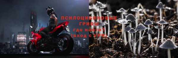 дурь Елабуга