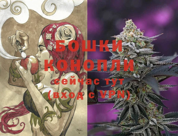 дурь Елабуга