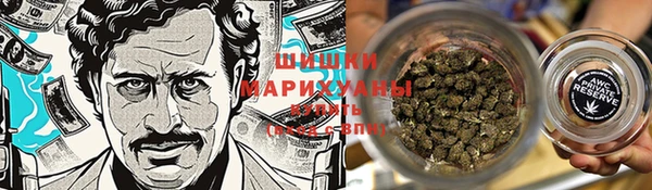 дурь Елабуга