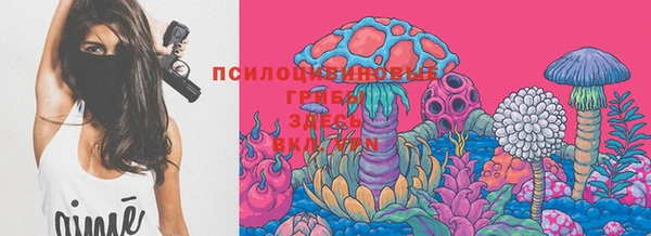 марихуана Ельня