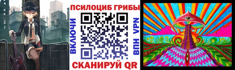 дарнет шоп  Задонск  hydra маркетплейс  Галлюциногенные грибы Psilocybe 